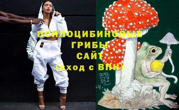 шишки Киренск