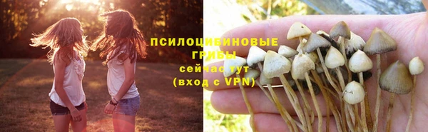 бошки Киреевск