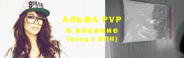 шишки Киренск
