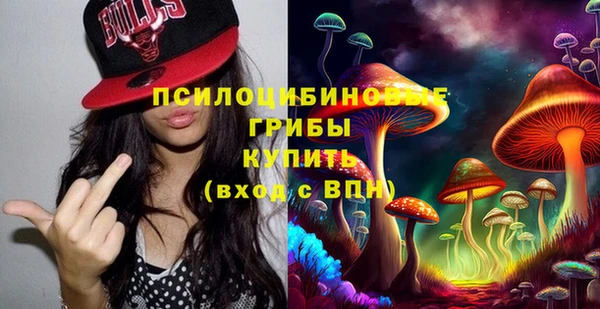 apvp Карталы