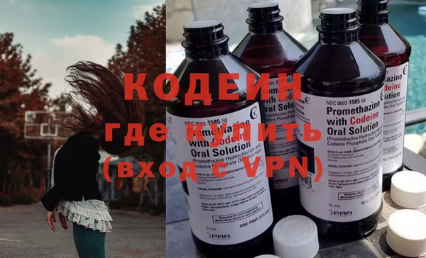 твердый Инта