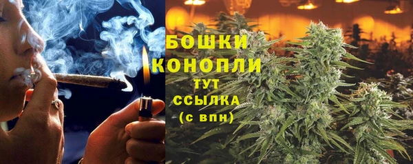бошки Каменногорск