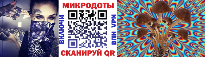 Галлюциногенные грибы мухоморы  omg маркетплейс  Малая Вишера 